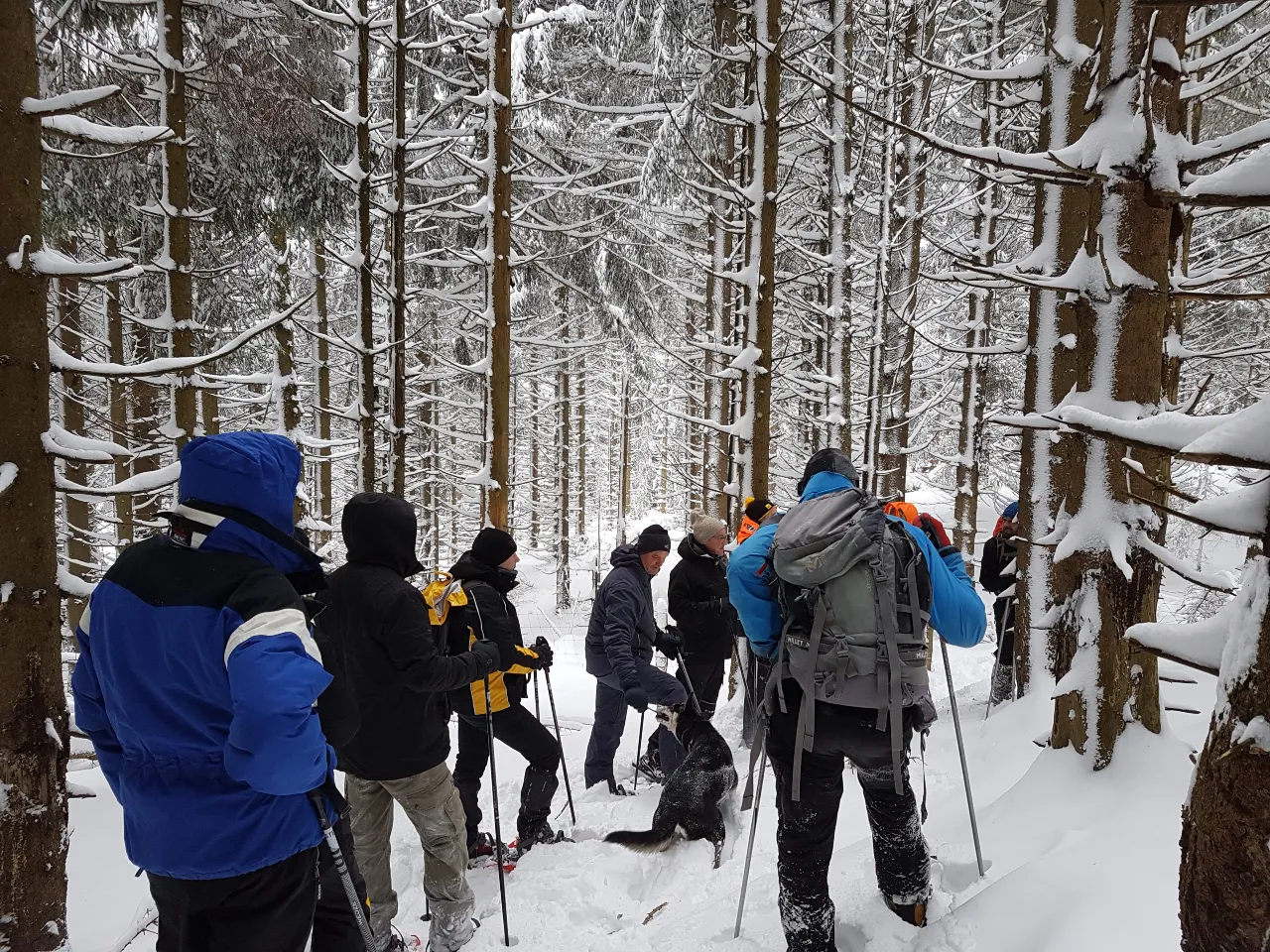 Auvergne Séminaire_randonnée_raquettes_hiver_Groupe de dos