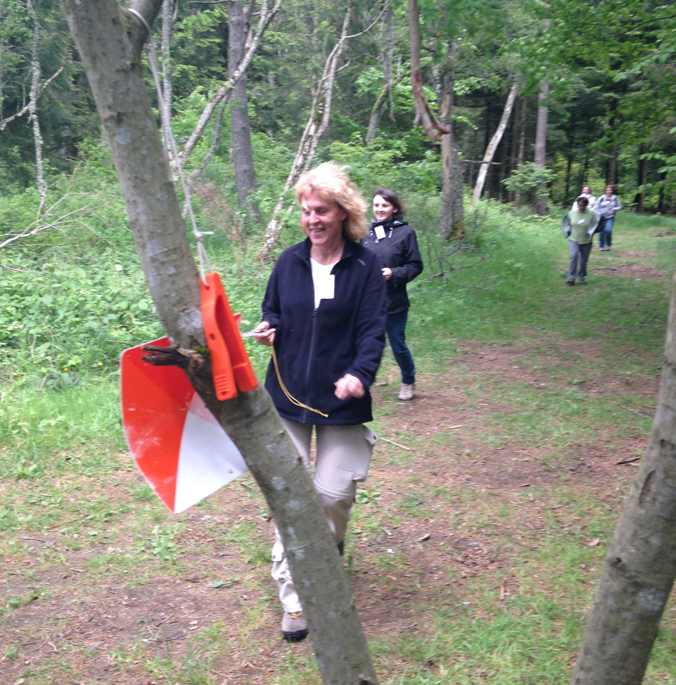 Course Orientation_C0_seminaire_groupe_balise_foret_Auvergne_Loisirs